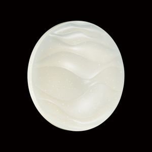 2090/EL PALE SN 067 Светильник пластик/белый LED 72Вт 3000-6000K D540 IP43 пульт ДУ ERICA