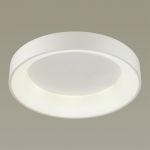 4062/50CL L-VISION ODL19 359 белый/серый Люстра потолочная с ДУ LED 50W 220V SOLE