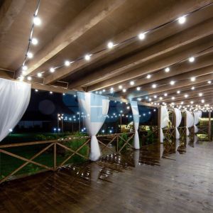 Уличная гирлянда Лофт, черный каучук, 20 прозрачных ламп х 5 LED, влагостойкая IP44